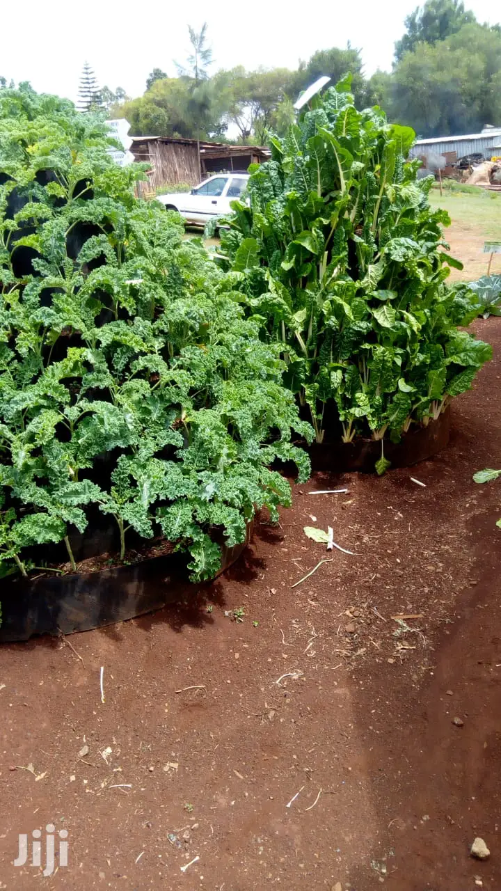 Hdpe Materials/Kitchen or Vertical Garden Materials