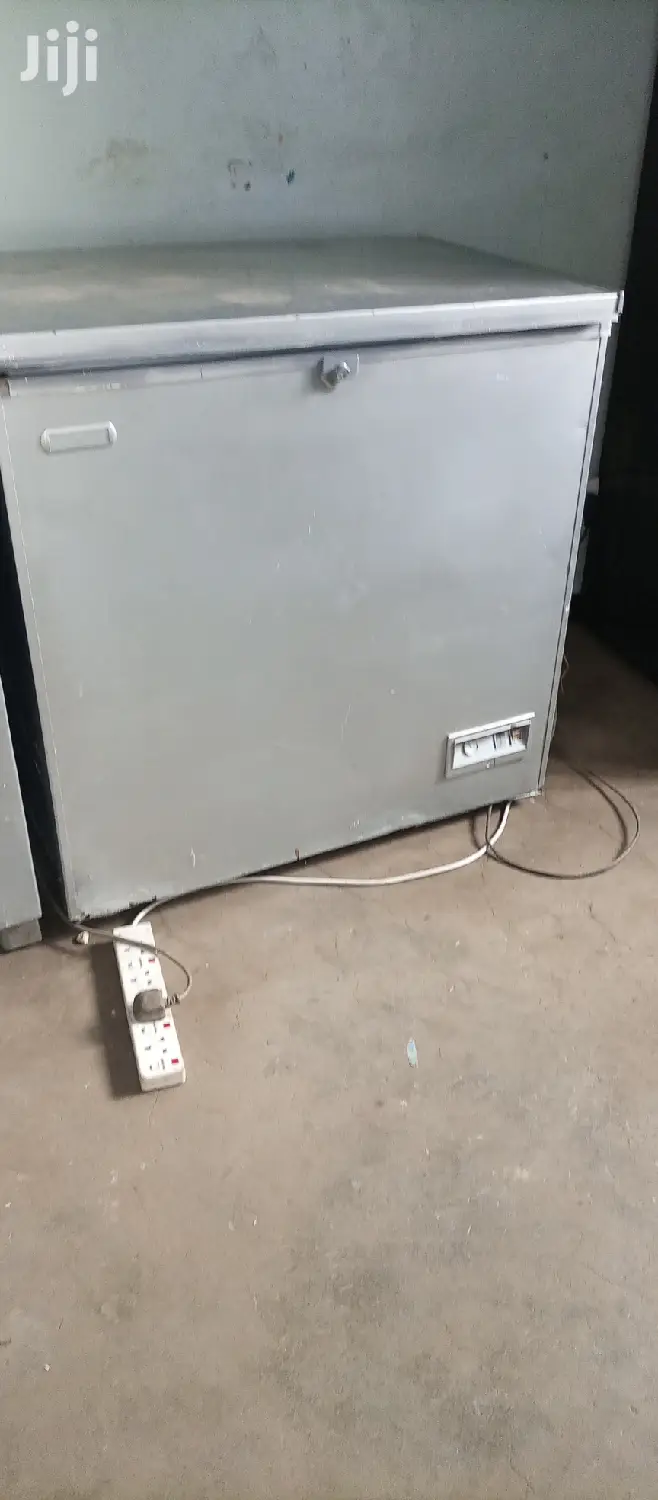 Deep Freezer 250L