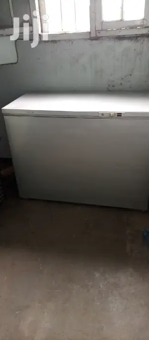 Deep Freezer 300L