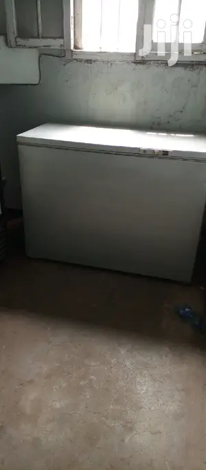 Deep Freezer 300L