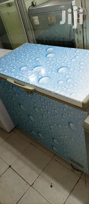 Deep Freezer 350L