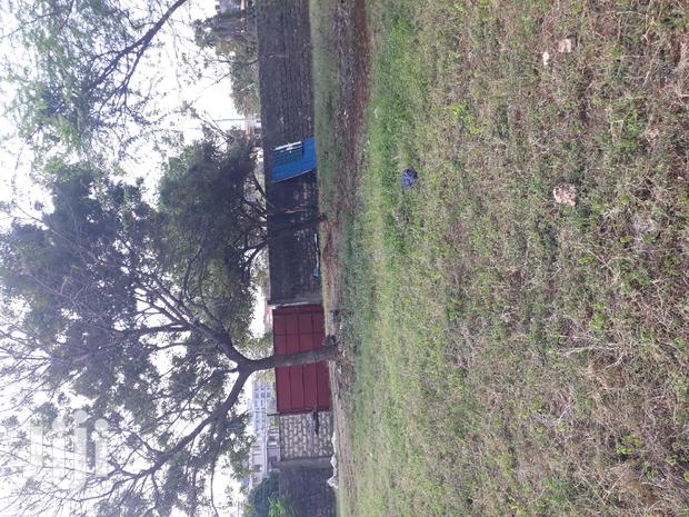 For Sale Half Acre Plots Nyali - thumbnail 4