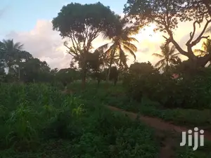 For Sale Half Acre Plots Nyali