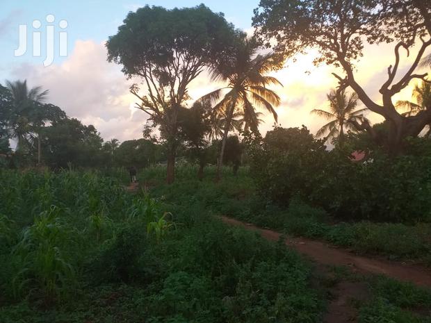 For Sale Half Acre Plots Nyali - thumbnail 5