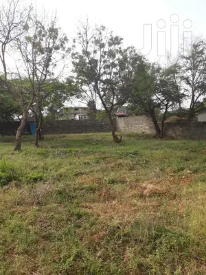 For Sale Half Acre Plots Nyali