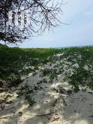 For Sale 1 Acre Beach Plot Nyali - thumbnail 3