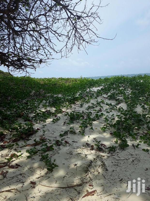 For Sale 1 Acre Beach Plot Nyali - thumbnail 2