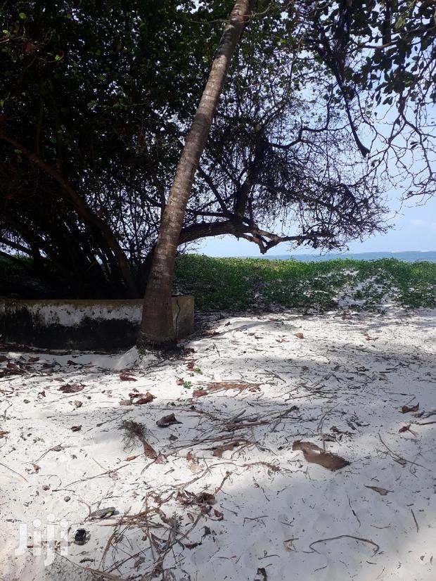 For Sale 1 Acre Beach Plot Nyali - thumbnail 4