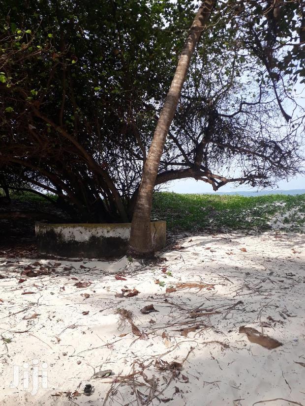 For Sale 1 Acre Beach Plot Nyali - thumbnail 5