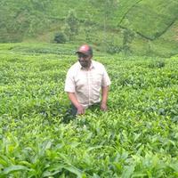 Patrick Muthoka logo