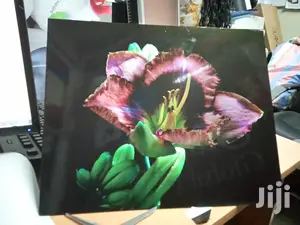 Beautiful Wall Art