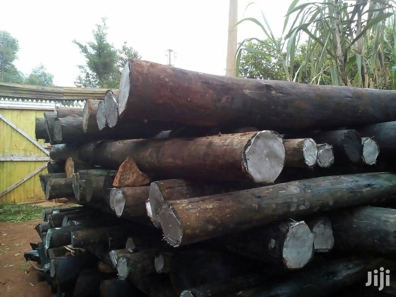 Treated Poles And Fencing Service