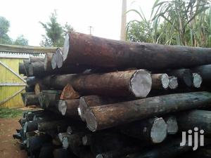 Treated Poles And Fencing Service