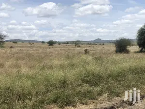 32acres Kinanie