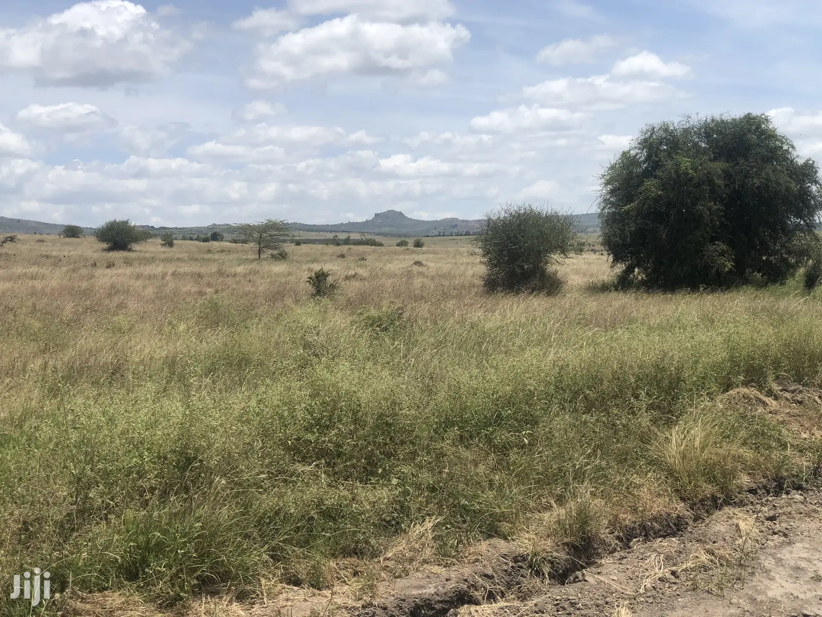 32acres Kinanie