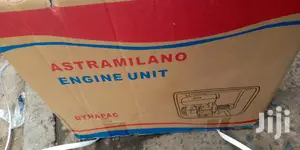 Astramilano Concrete Vibrator With Poker