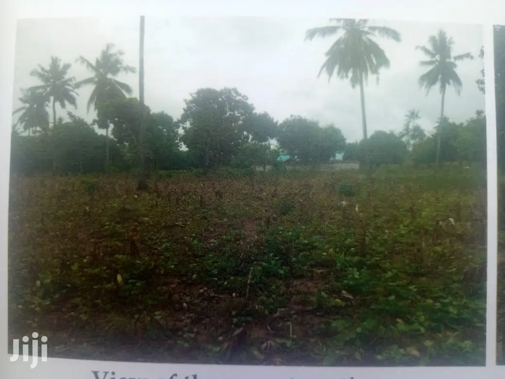 6 Acres on Sale in Chumani