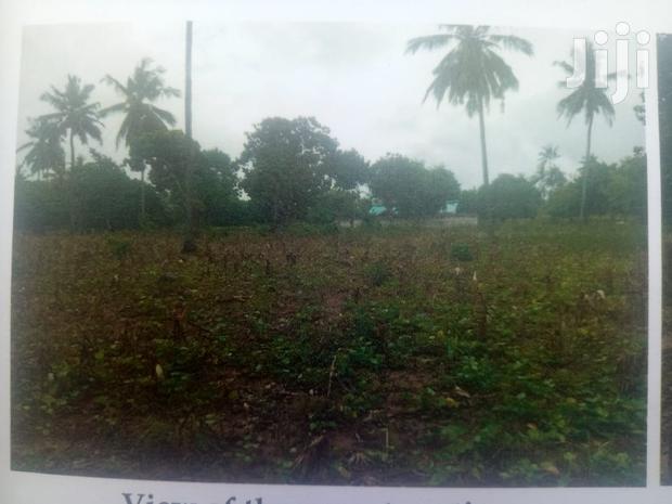 6 Acres on Sale in Chumani - main view