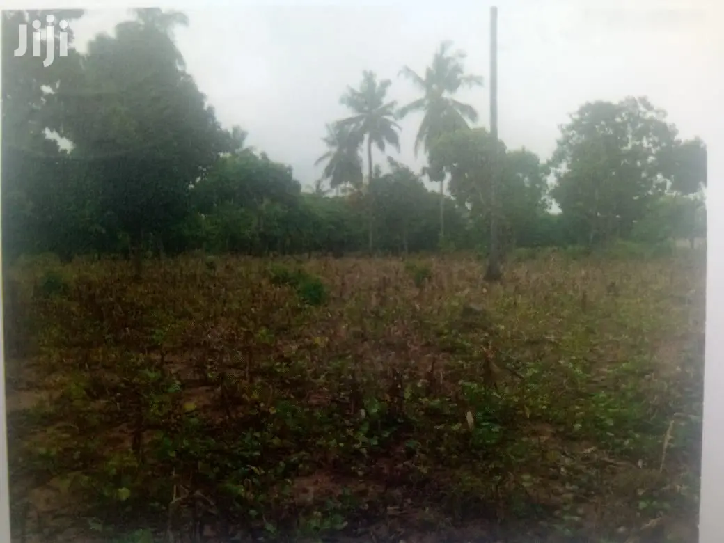 6 Acres on Sale in Chumani
