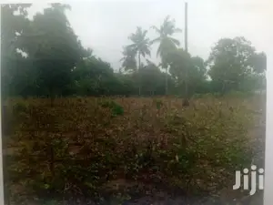 6 Acres on Sale in Chumani