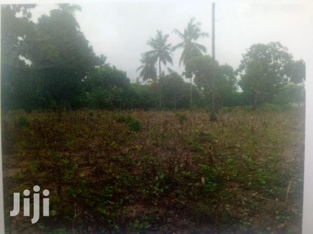 6 Acres on Sale in Chumani - thumbnail 4