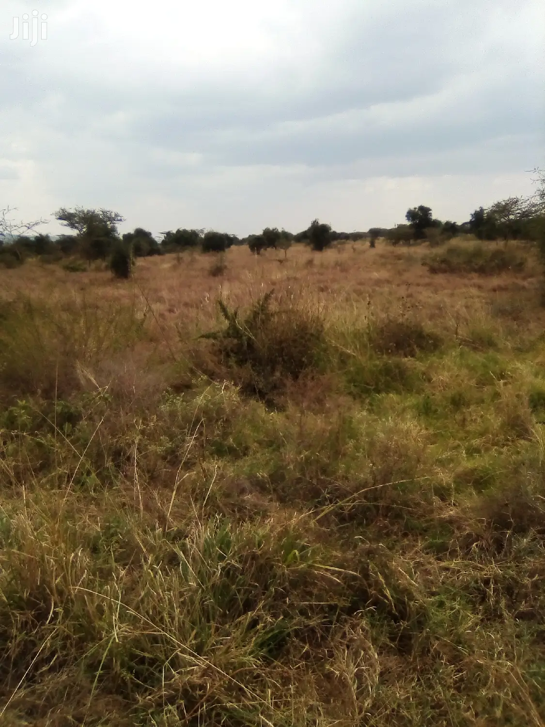 Konza City Land for Sale