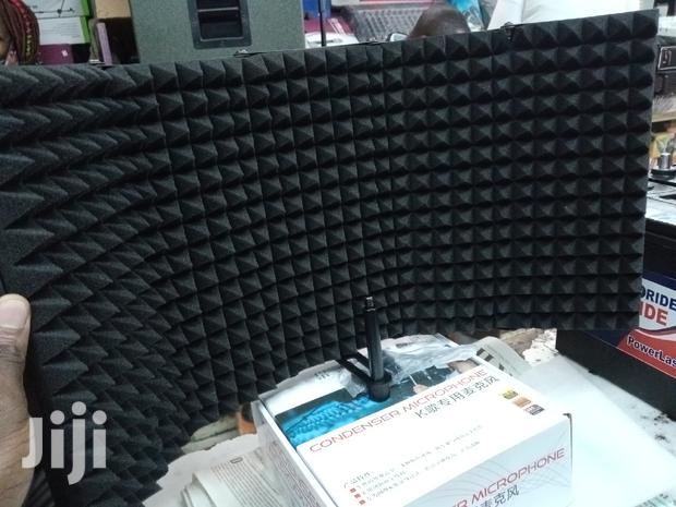 Microphone Isolation Shield