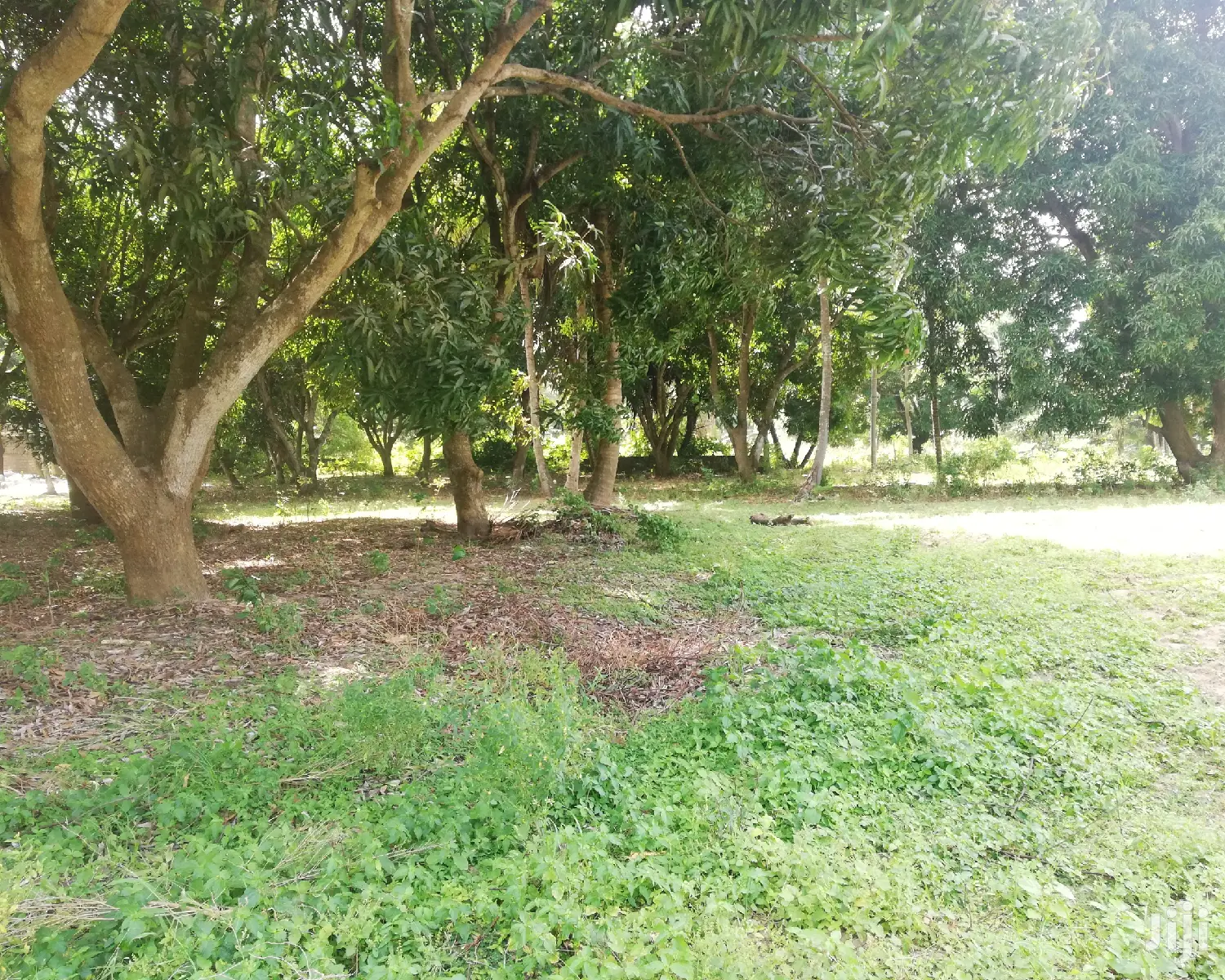 2 Acre Land For Sale