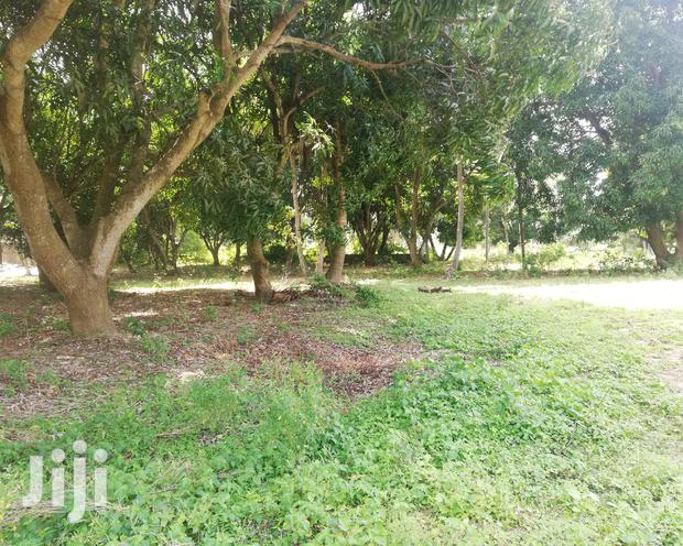 2 Acre Land For Sale