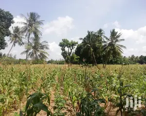 2 Acre Land For Sale