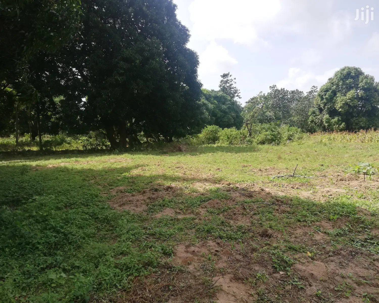 2 Acre Land For Sale