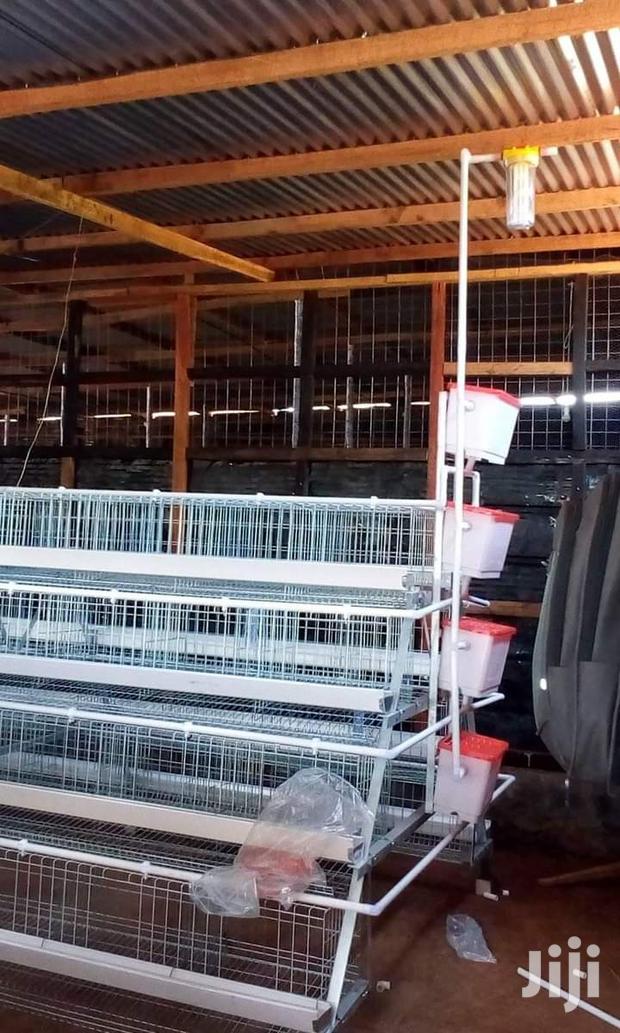 Poultry Birds Cage