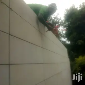 Wall Cladding