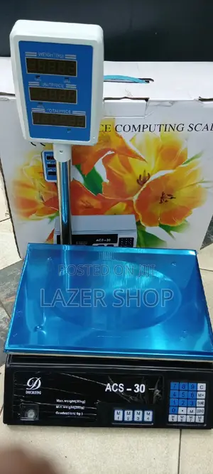 Digital Handle Scale