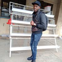 AGRIFINE AFRICA POULTRY logo