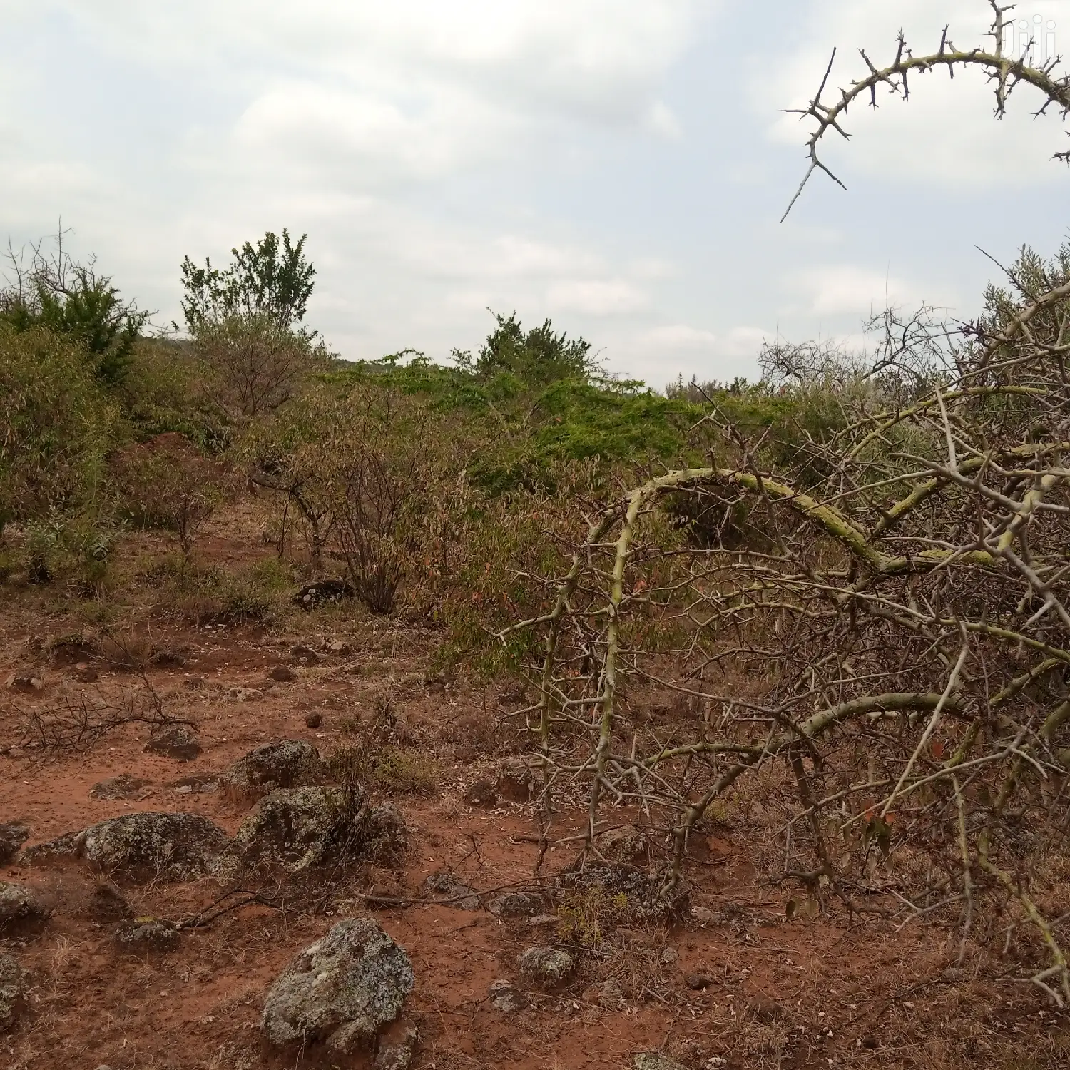 3 Acres Oloishobor at 1.8m Per Acre