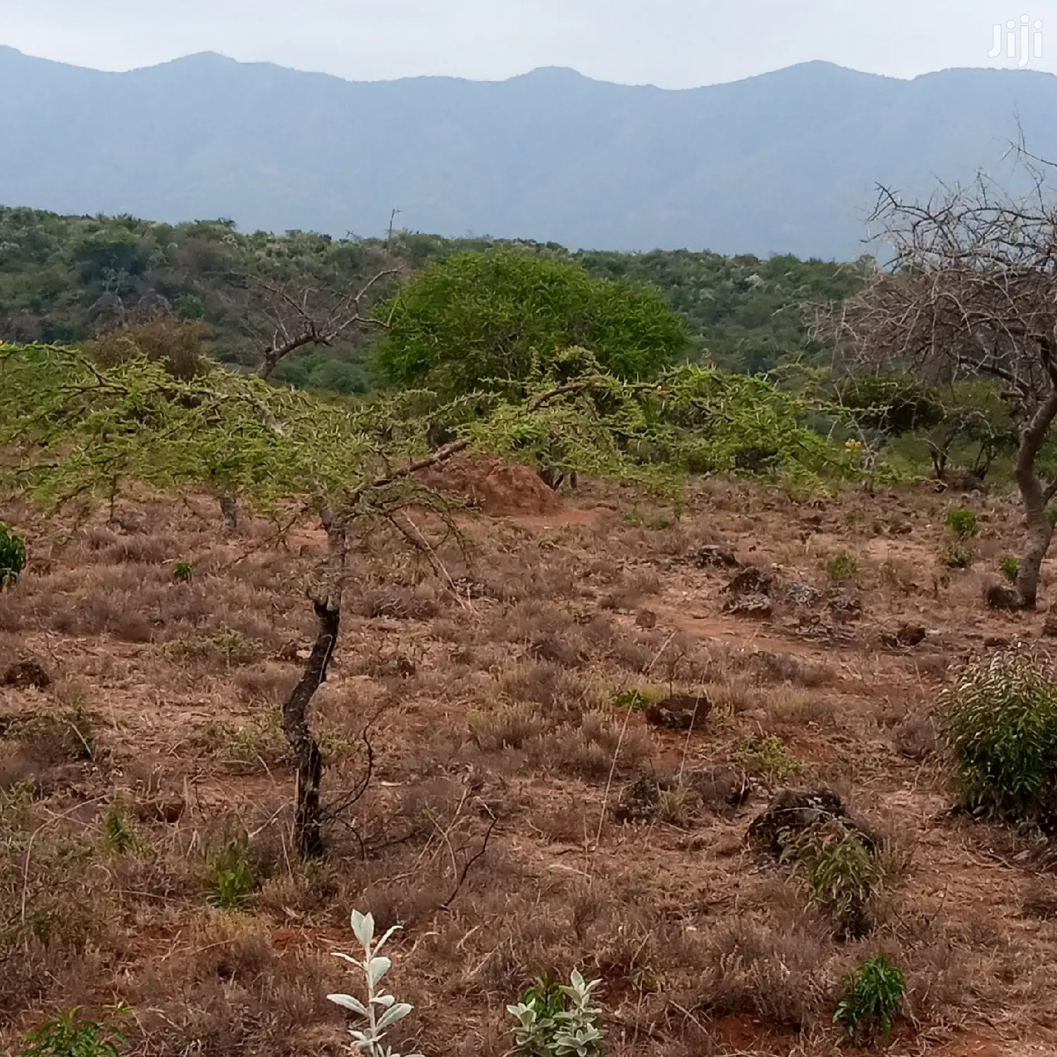 3 Acres Oloishobor at 1.8m Per Acre