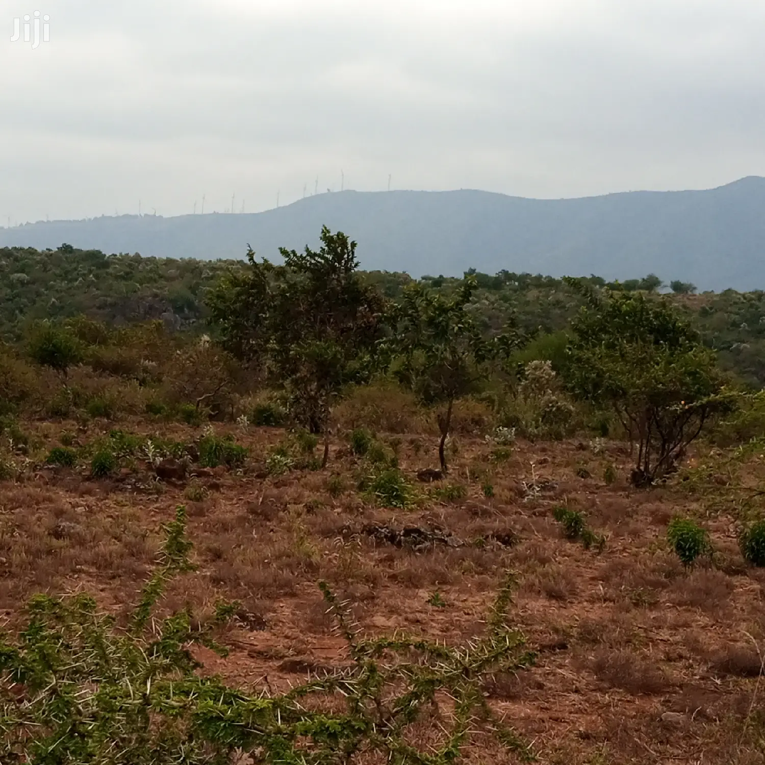 3 Acres Oloishobor at 1.8m Per Acre