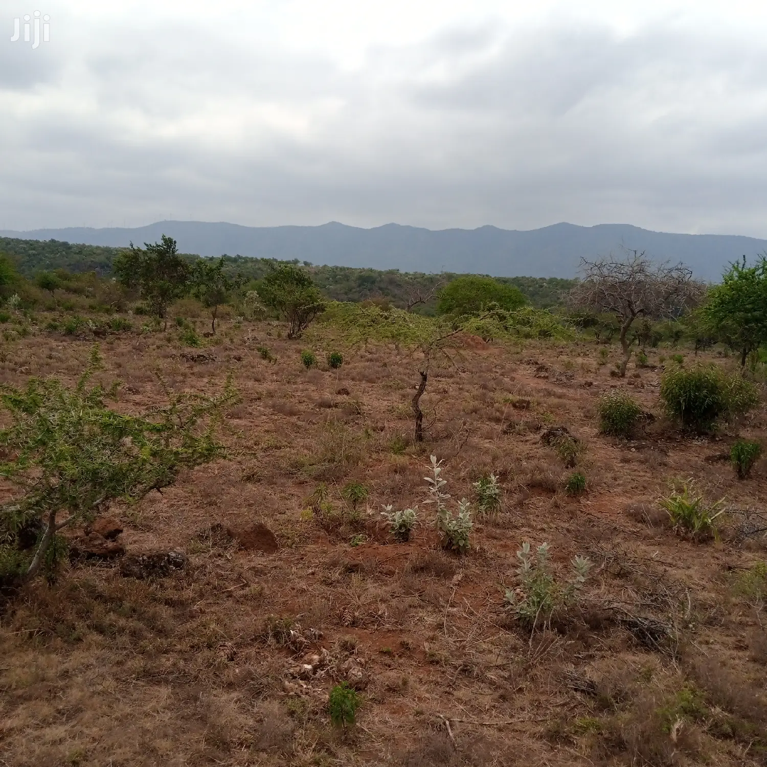 3 Acres Oloishobor at 1.8m Per Acre