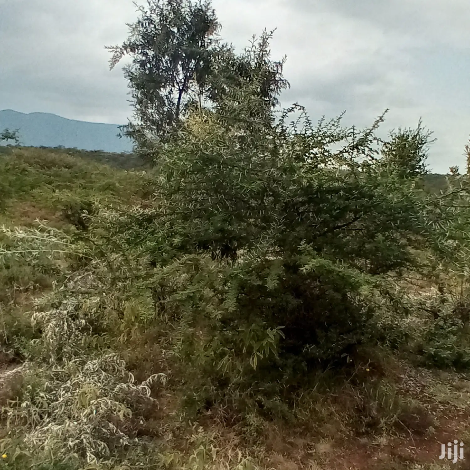 3 Acres Oloishobor at 1.8m Per Acre