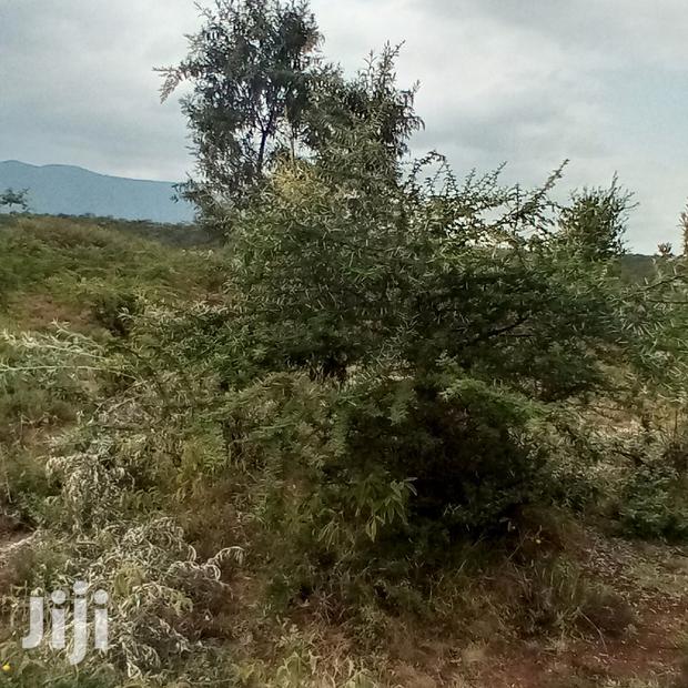 3 Acres Oloishobor at 1.8m Per Acre - thumbnail 11