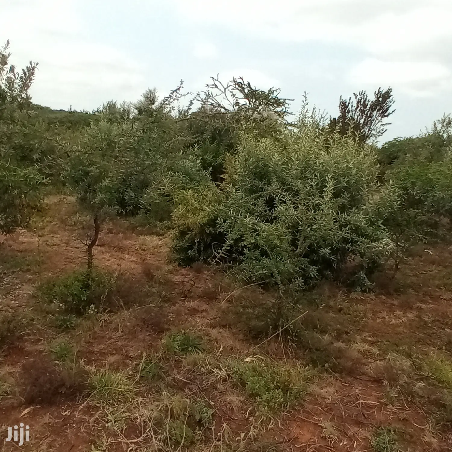 3 Acres Oloishobor at 1.8m Per Acre