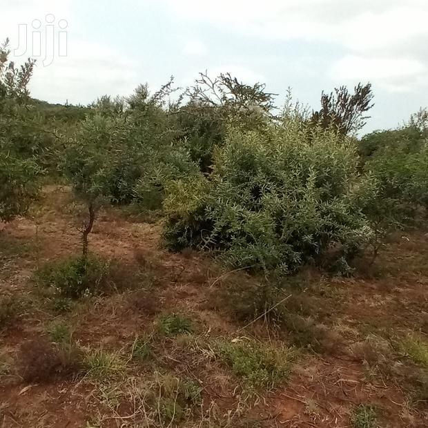 3 Acres Oloishobor at 1.8m Per Acre - thumbnail 10
