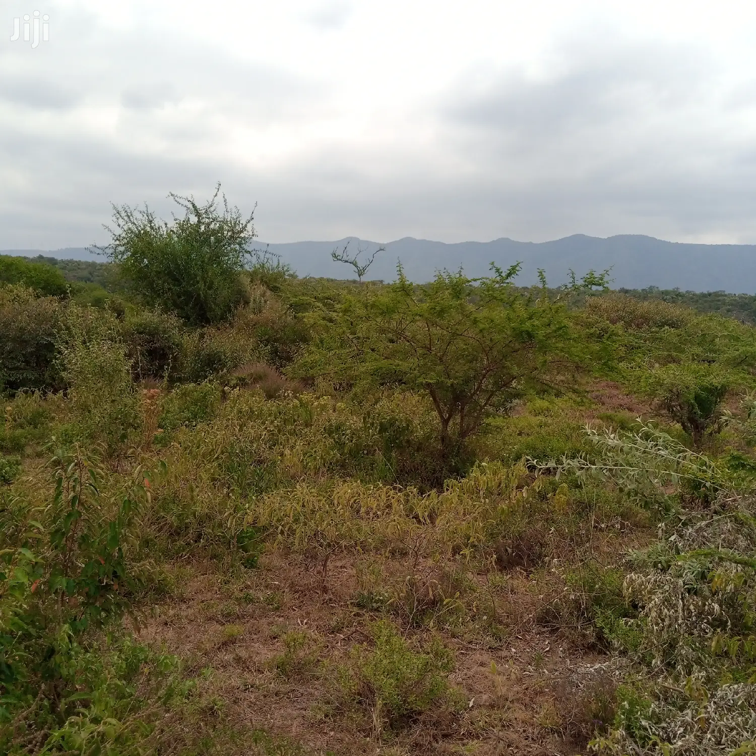 3 Acres Oloishobor at 1.8m Per Acre