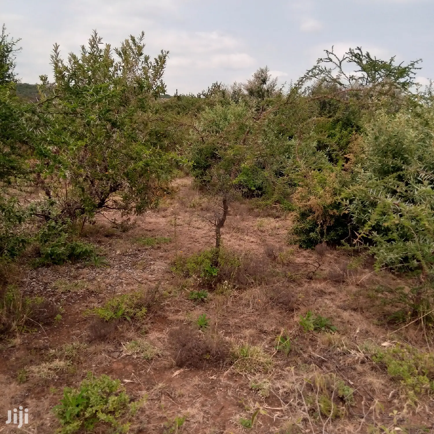 3 Acres Oloishobor at 1.8m Per Acre