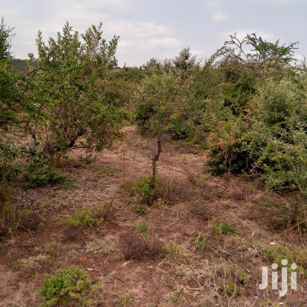 3 Acres Oloishobor at 1.8m Per Acre - thumbnail 14