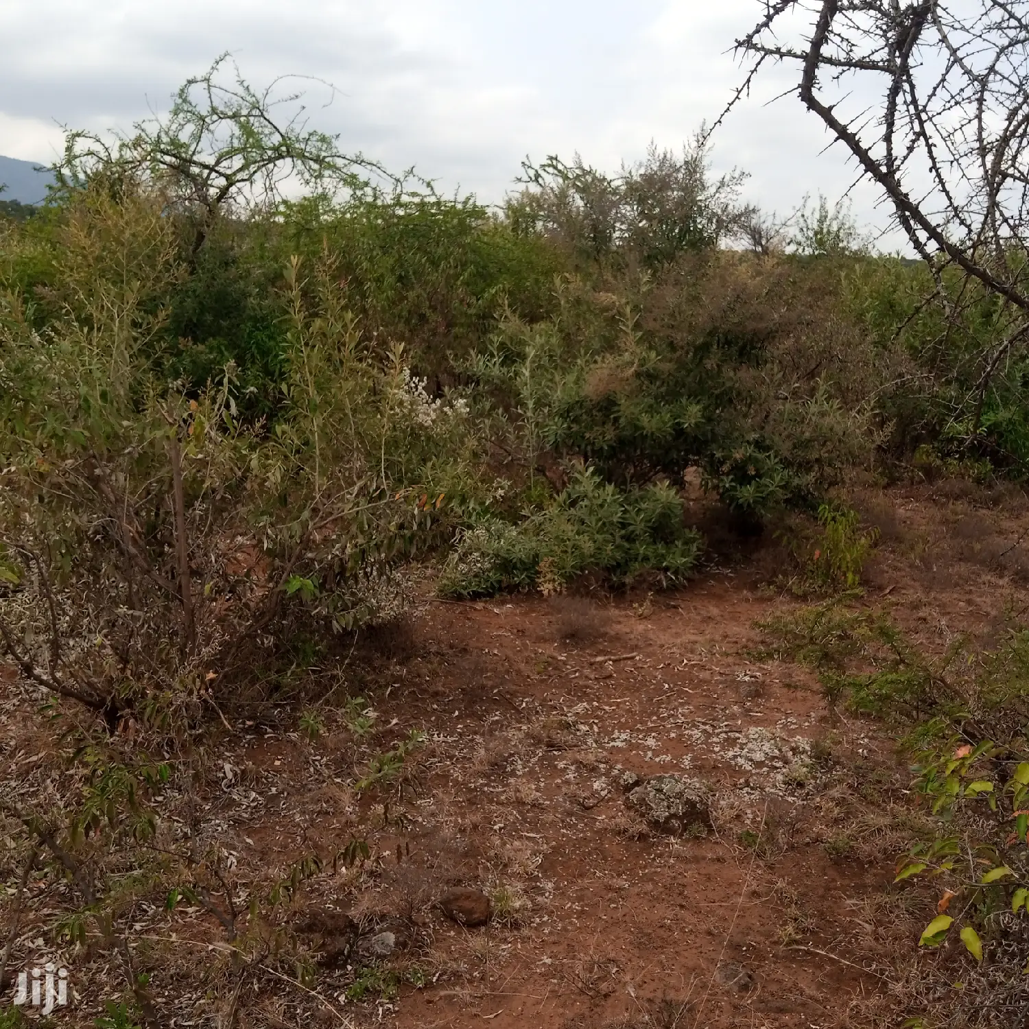 3 Acres Oloishobor at 1.8m Per Acre