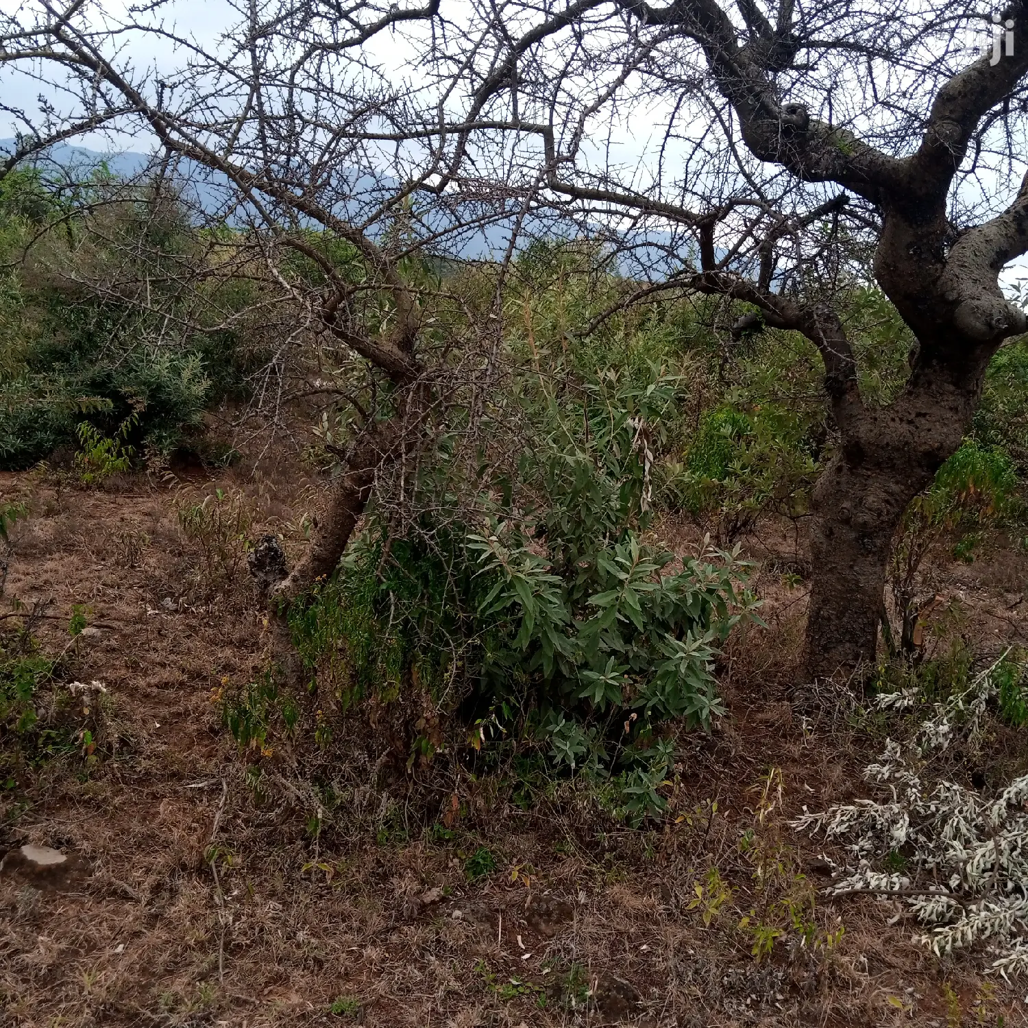 3 Acres Oloishobor at 1.8m Per Acre