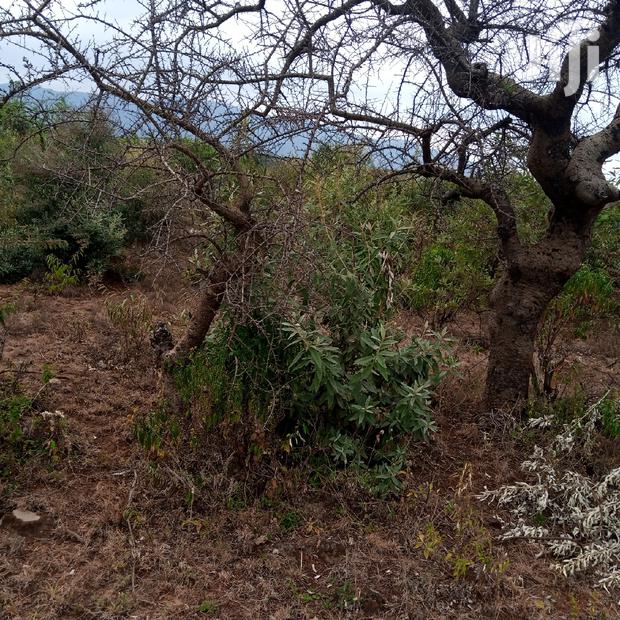 3 Acres Oloishobor at 1.8m Per Acre - thumbnail 16