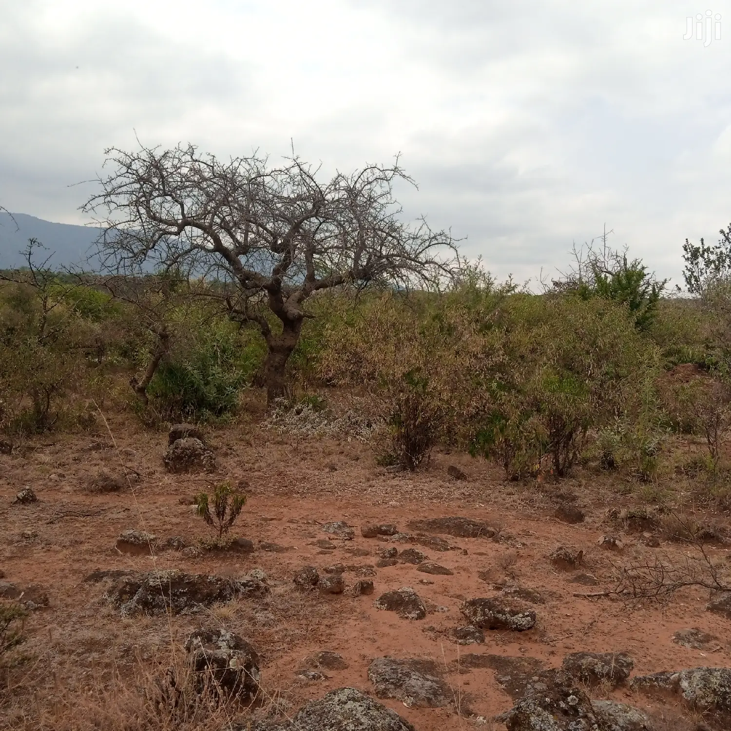 3 Acres Oloishobor at 1.8m Per Acre